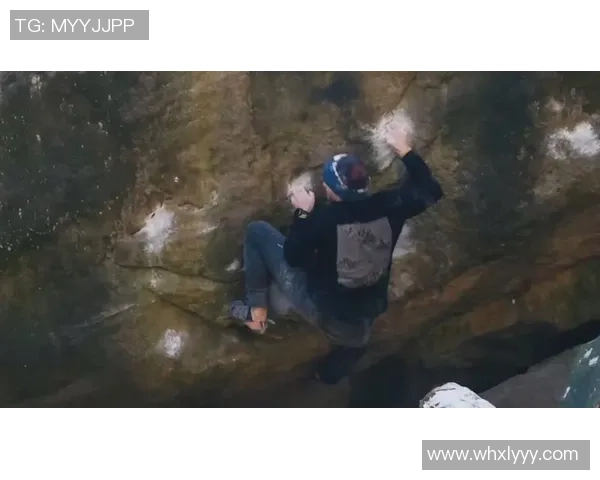 攀岩之路：张丽分享她的挑战与成就的精彩对话